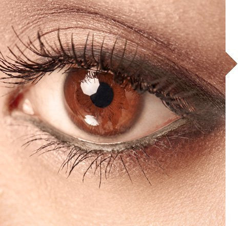 Preview Chocolate Dream